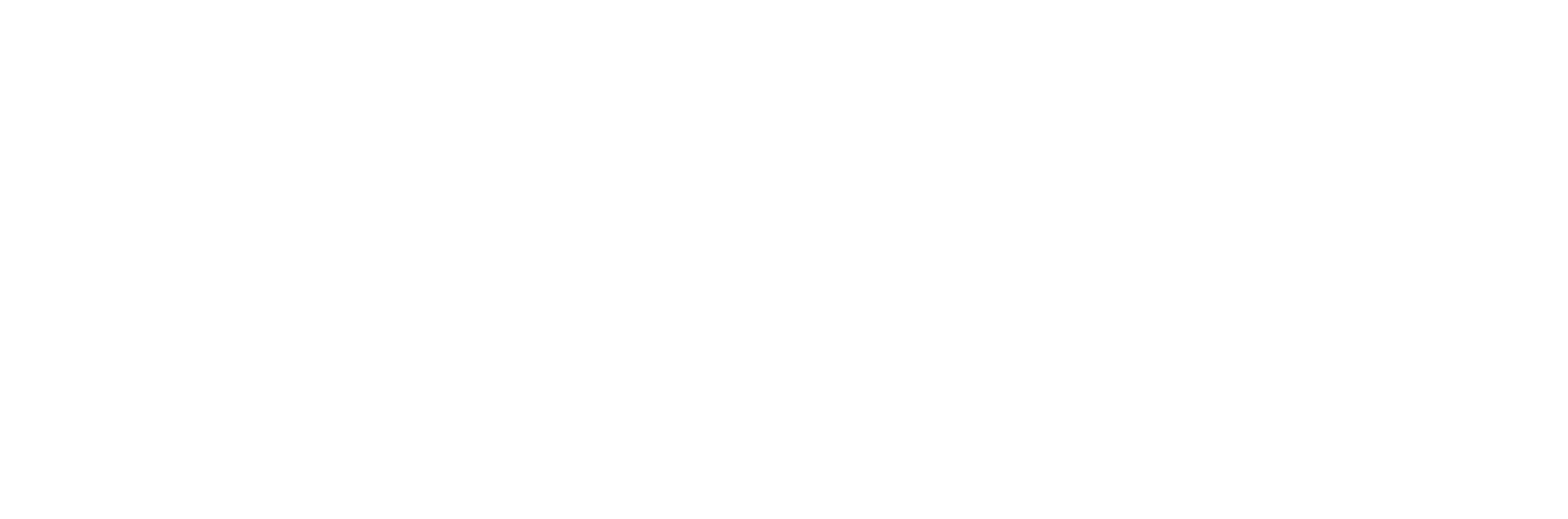 SlickSkins logo