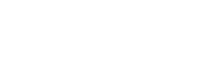 SlickSkins logo